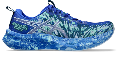 Asics Noosa Tri 16 D Width (Men’s)