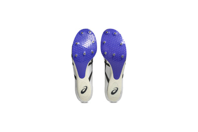 Asics Metaspeed SP 2