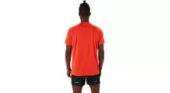 Asics Silver Short Sleeve Top (Men's) Multiple Colours