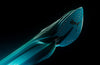 Puma Fast-R Nitro Elite 3 (Men's)