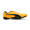 Puma EvoSPEED Prep Sprint 3.5