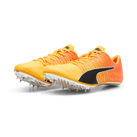 Puma Evospeed Brush 6