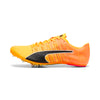 Puma Evospeed Future 6