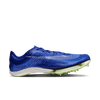 Nike Air Zoom Victory Spike