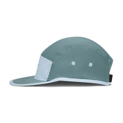 Nike Fly Cap