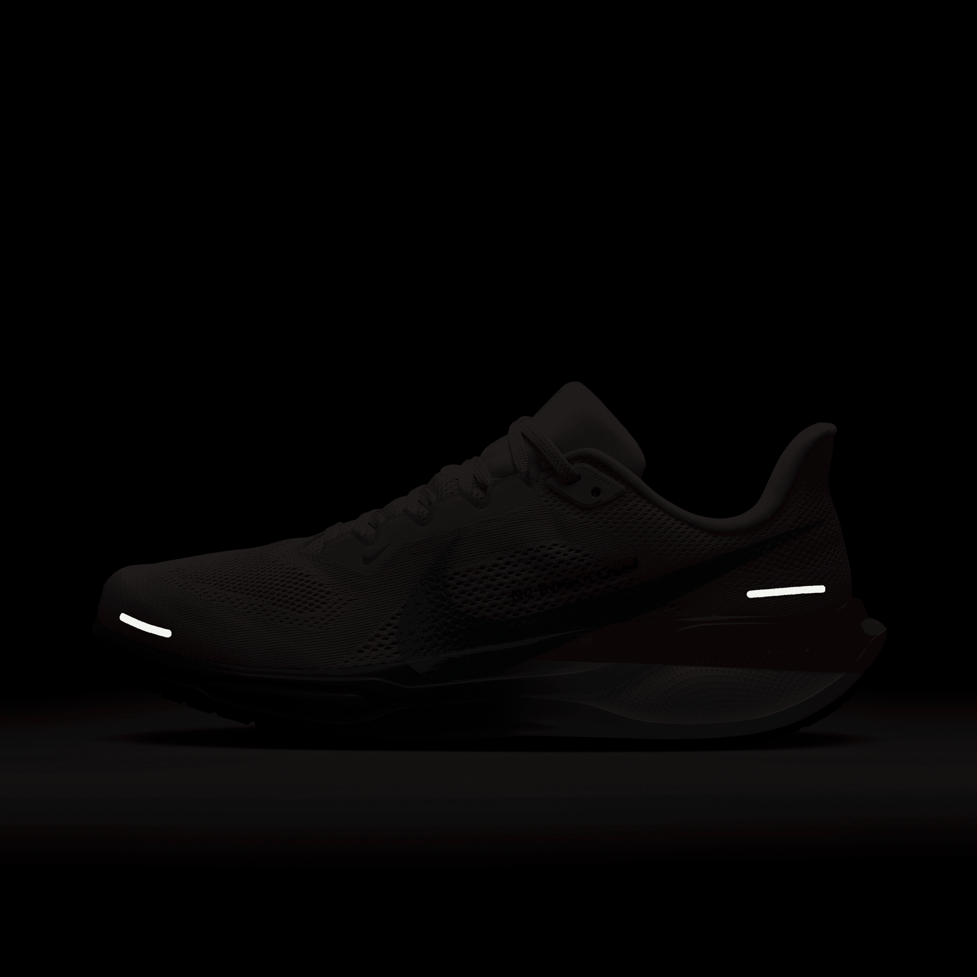 Nike Zoom Pegasus 41 