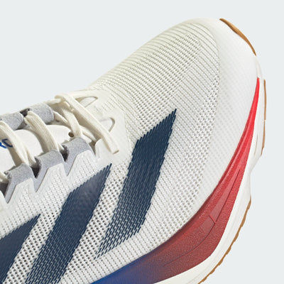 Adidas Adizero Boston 12 (Men's)