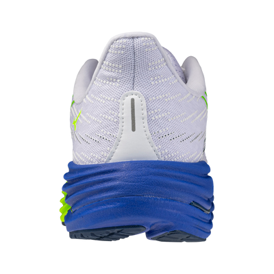Mizuno Wave Rider 29 (Men’s)