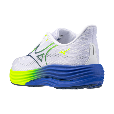 Mizuno Wave Rider 29 (Men’s)