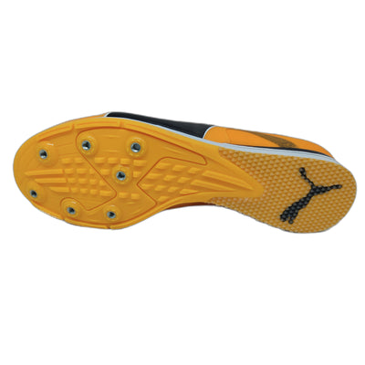 Puma EvoSPEED Triple Jump/PV 12