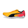 Puma EvoSPEED Electric 13