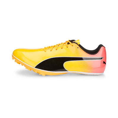 Puma EvoSPEED Electric 13