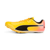 Puma EvoSPEED Electric 13