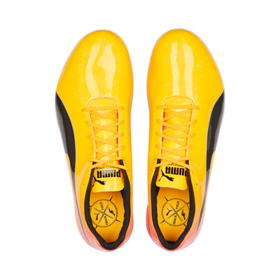 Puma EvoSPEED Electric 13