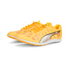 Puma EvoSPEED Distance 10