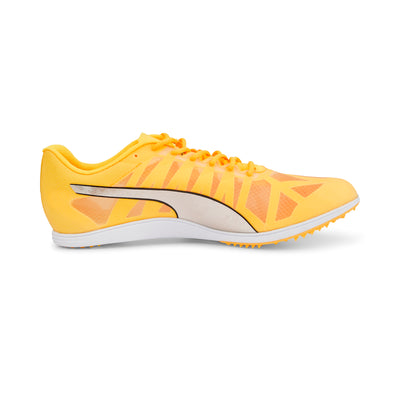 Puma EvoSPEED Distance 10